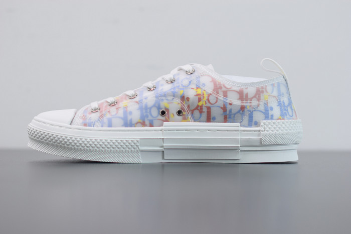 DR B23 OBLIQUE LOW TOP “CD Ghosting"